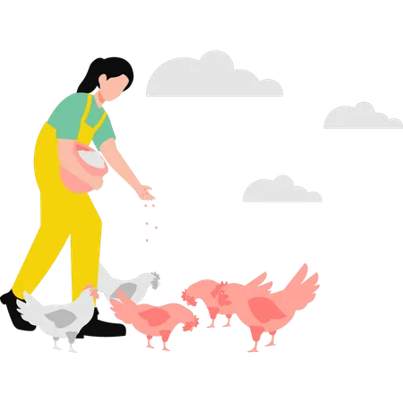 The Girl Is Feeding The Chickens Illustration