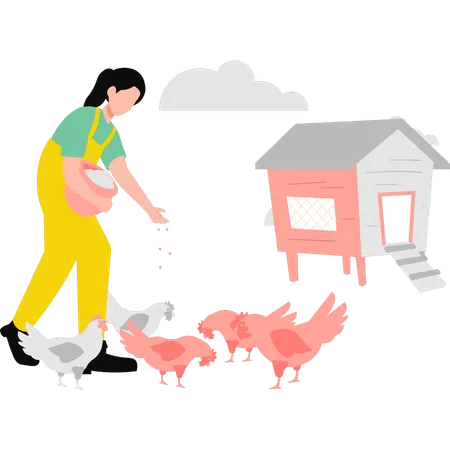 The Girl Is Feeding The Chickens In Farm Illustration