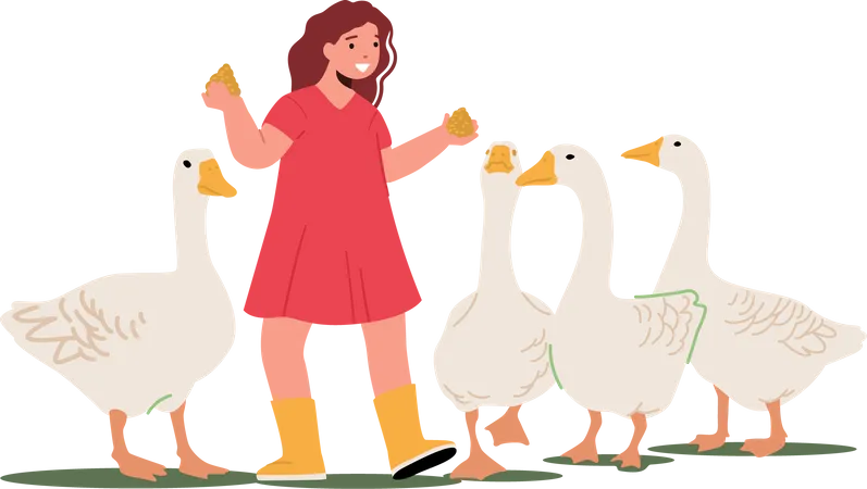Girl feeding fowl to ducks  Illustration