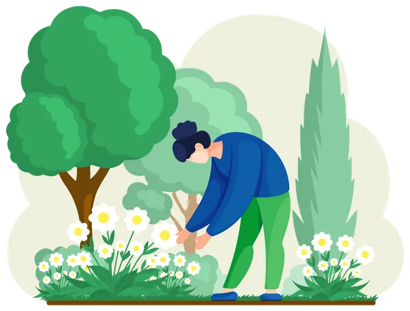 Girl Cultivating Plants On Backyard Flowers On Beautiful Flower Bed Enjoying White Daisies In Spring Garden Organic Gardening Illustration Woman Gardener Worker Is Engaged In Gardening In Grounds Illustration
