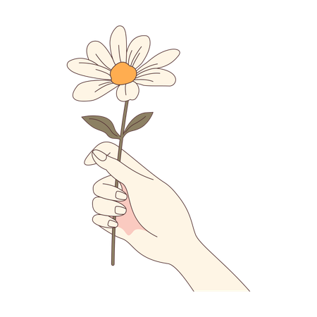 Girl Hand Holding Beautiful Daisy Chamomile Flower  Illustration