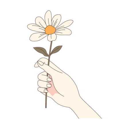 Girl Hand Holding Beautiful Daisy Chamomile Flower  Illustration