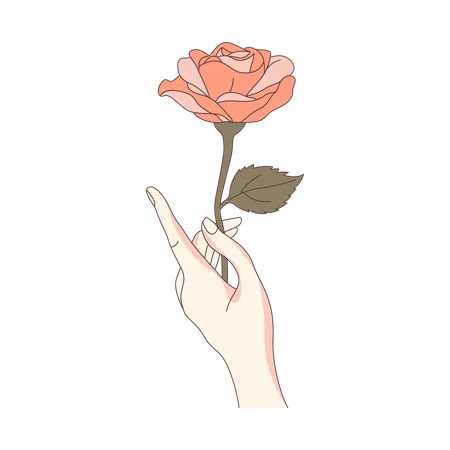 Girl Hand Holding Beautiful Rose Flower Floral  Illustration