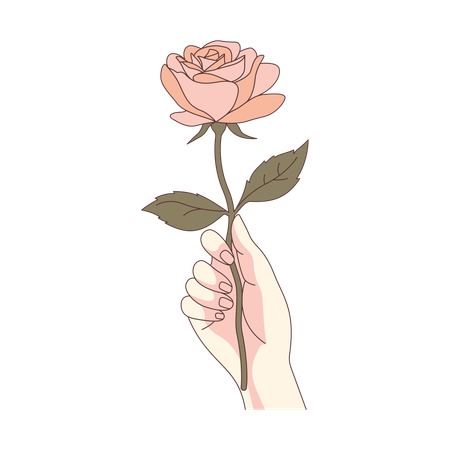 Girl Hand Holding Beautiful Rose Flower  Illustration