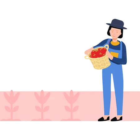 The Girl Is Holding A Basket Of Tomatoes Illustration