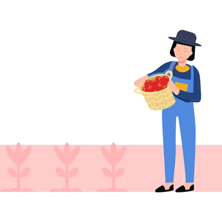 Girl holding basket of tomatoes  Illustration