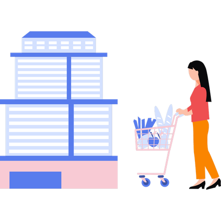 Girl is buying grocery from store  Illustration