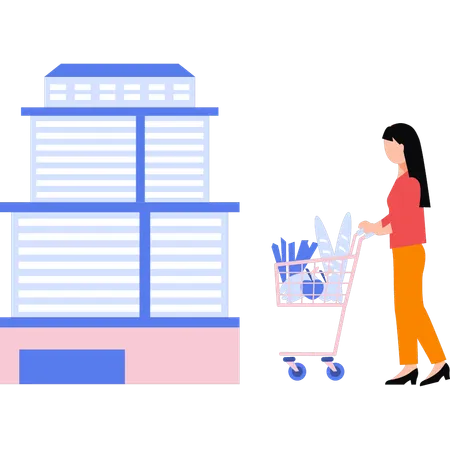 Girl Is Buying Grocery From Store Illustration