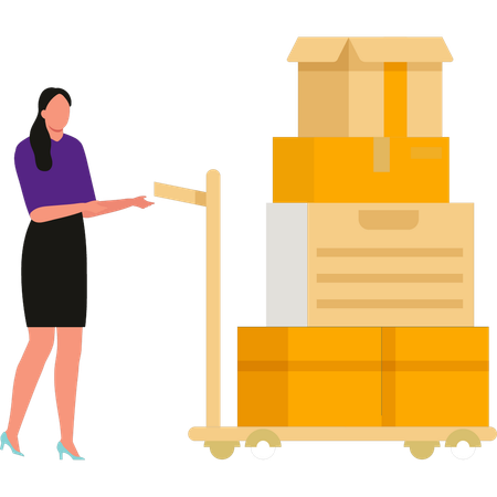 Girl is carrying a trolley of packages  Illustration