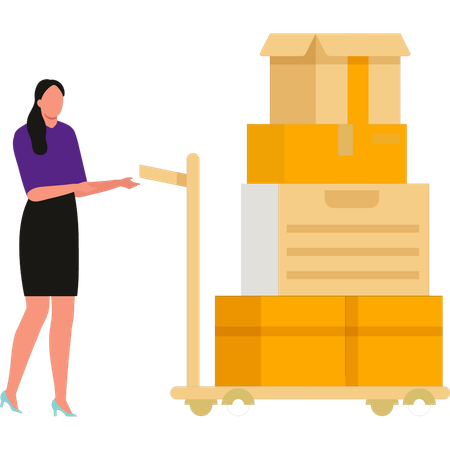 Girl is carrying a trolley of packages  Illustration