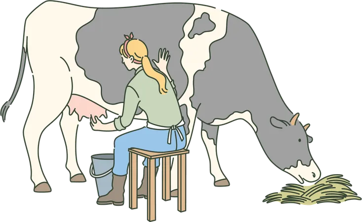 Girl is feeding cow  Illustration