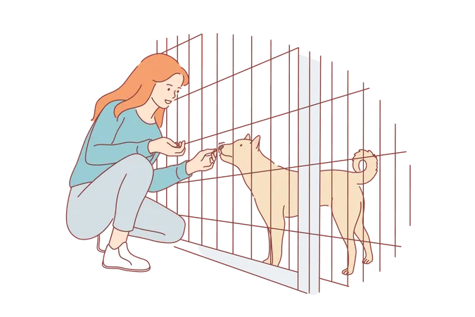 Volunteering Care Love Affection Concept Young Happy Smiling Woman Girl Volunteer Cartoon Character Feeding Food Dog Pet Friend In Nursery Adoption Stray Animal From Special Shelter Illustration Illustration