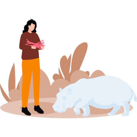 Girl is gathering wood for camp fire and watching hippo  Illustration