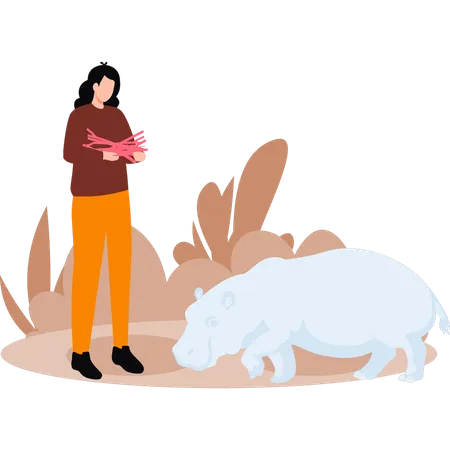 Girl is gathering wood for camp fire and watching hippo  Illustration