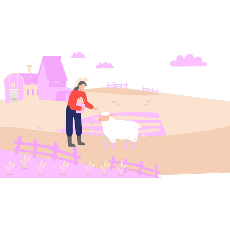 Girl is herding sheep in the farm  Illustration