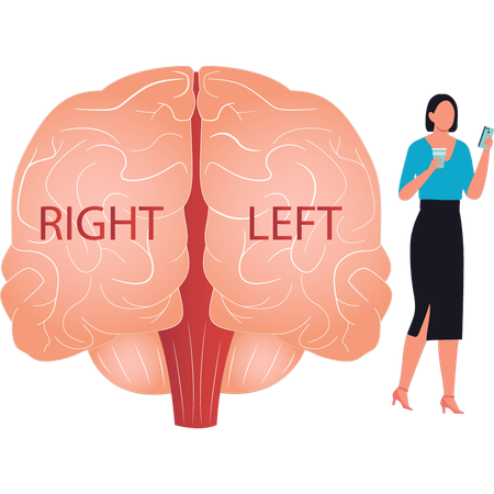 Girl is looking at mobile on the left and right side of brain  Illustration