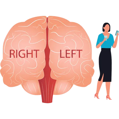 The Girl Is Looking At Mobile On The Left And Right Side Of Brain Illustration
