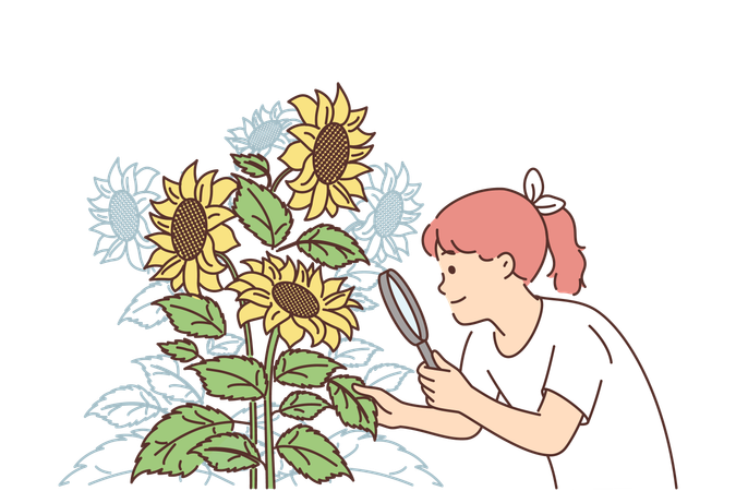 Girl is looking at sunflowers through magnifying glass  イラスト