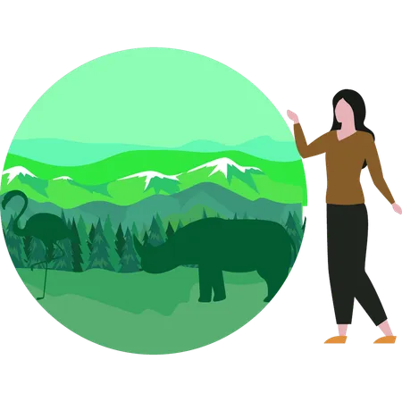 Girl is looking at the animals in the forest  Illustration