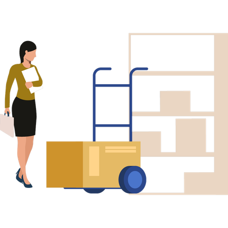 Girl is looking at the carton box in the trolley  Illustration