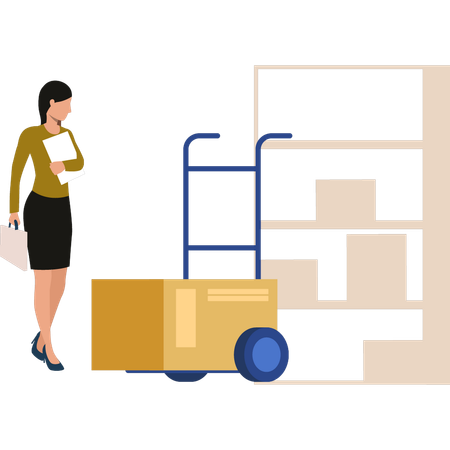 Girl is looking at the carton box in the trolley  Illustration