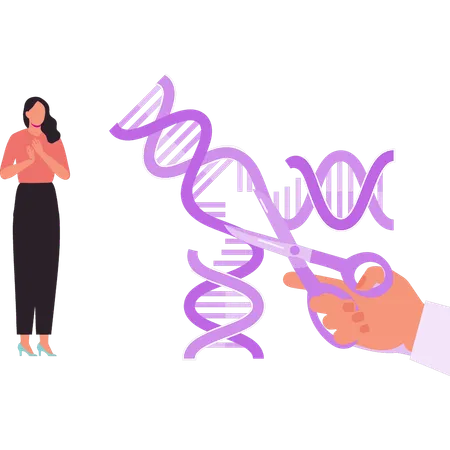 The Girl Is Looking At The DNA Structures Illustration
