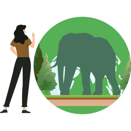 The Girl Is Looking At The Elephant Illustration