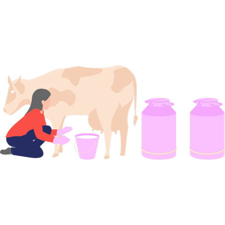 Girl is milking a cow  Illustration