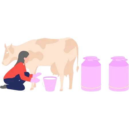 A Girl Is Milking A Cow Illustration