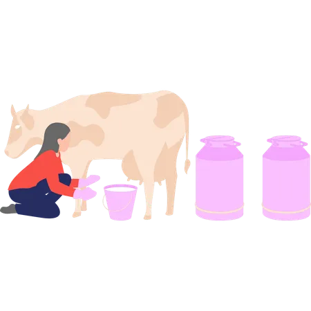 Girl is milking a cow  Illustration