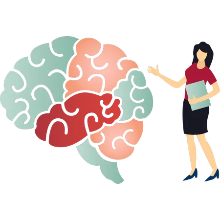 The Girl Is Showing A Human Brain Illustration