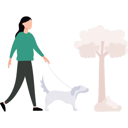 The Girl Is Taking Her Dog For A Walk Illustration