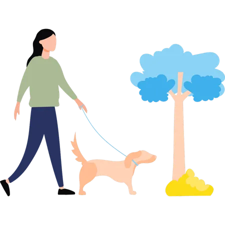 The Girl Is Walking With The Dog Illustration