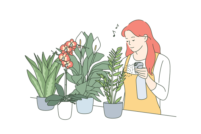 Girl is watering indoor plants  Illustration