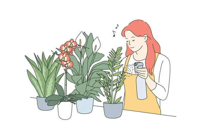 Girl is watering indoor plants  Illustration