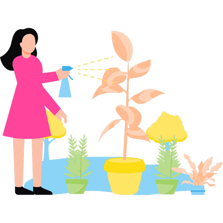 Girl is watering plants with a shower  Illustration