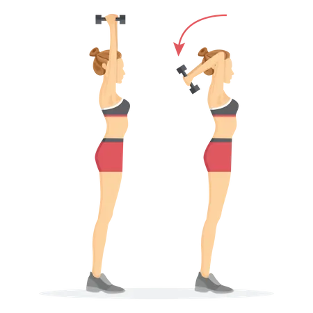 Girl Lifting dumbbell exercise Illustration