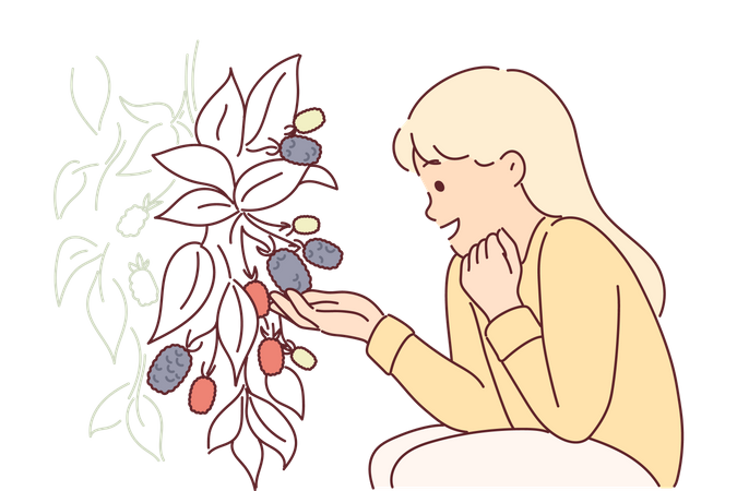 Girl looking at flower  Illustration