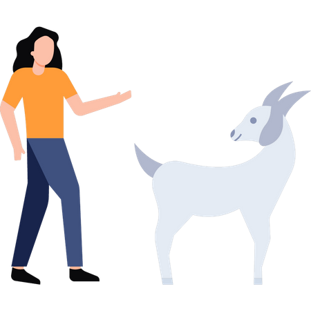 Girl looking at goat  Illustration