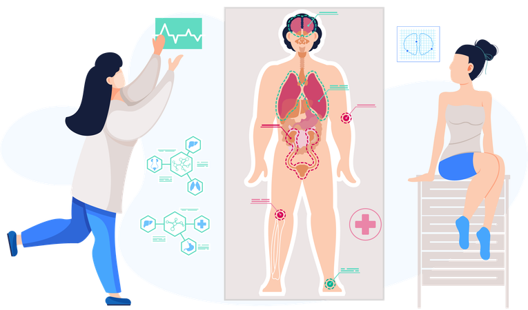 Girl looking at human body structure poster  Illustration