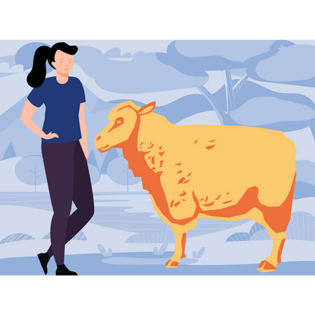 Girl looking at sheep  Illustration