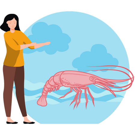 Girl looking at shrimp  Illustration
