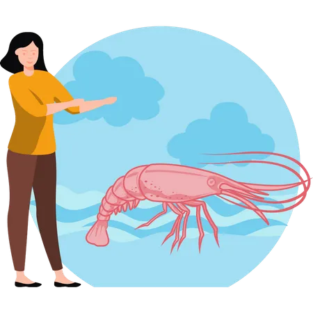 Girl looking at shrimp  Illustration