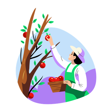 Girl picking Apple from Tree  Illustration