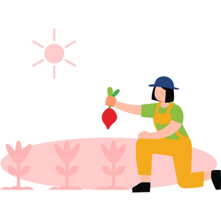Girl picking turnips from field Illustration