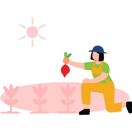 Girl picking turnips from field Illustration