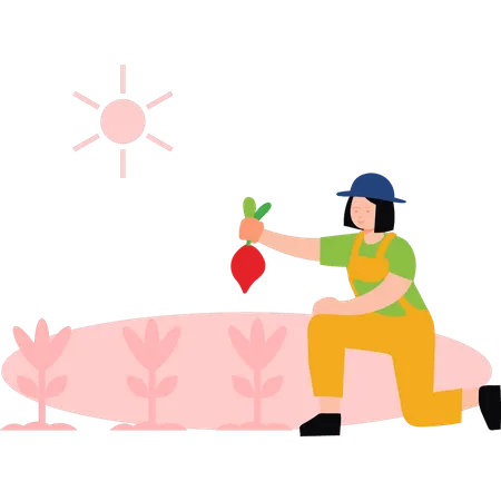 Girl picking turnips from field  Illustration