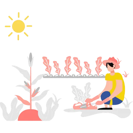 Girl planting plant  Illustration