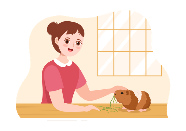 Girl playing with guinea pig  Illustration