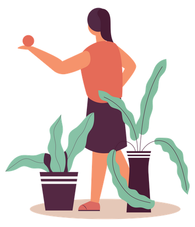 Girl plucking fruit  Illustration